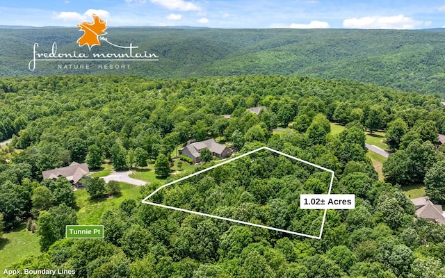 221 Tunnie Pt, Dunlap TN, 37327 land for sale