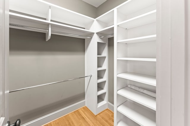 spacious closet with light wood-type flooring