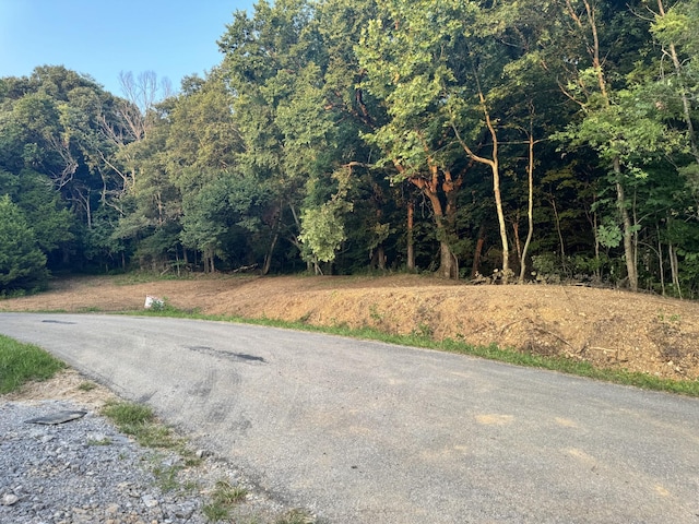 Listing photo 3 for 1 Hix Rd, Gordonsville TN 38563