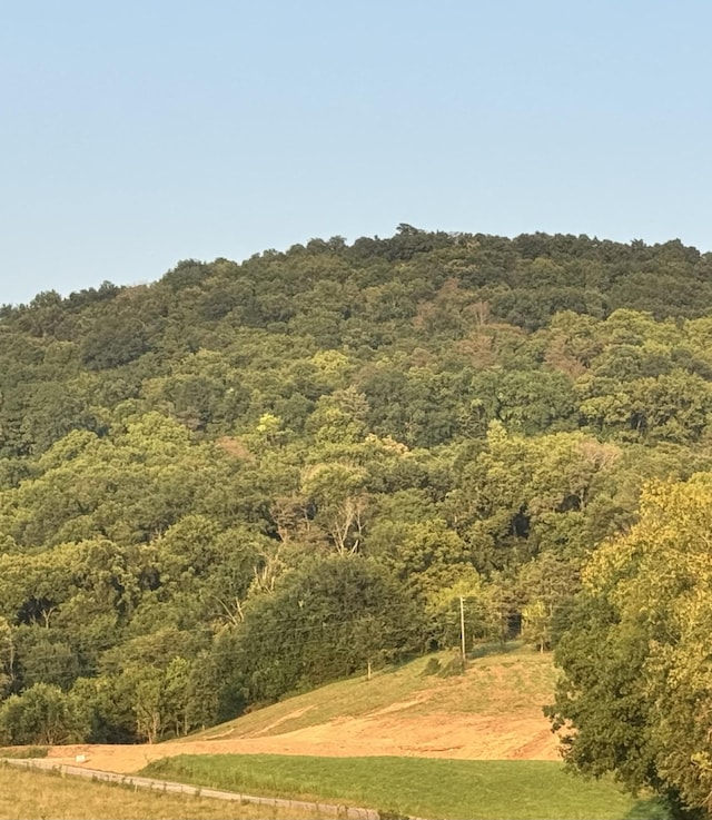 2 Hix Rd, Gordonsville, TN 38563