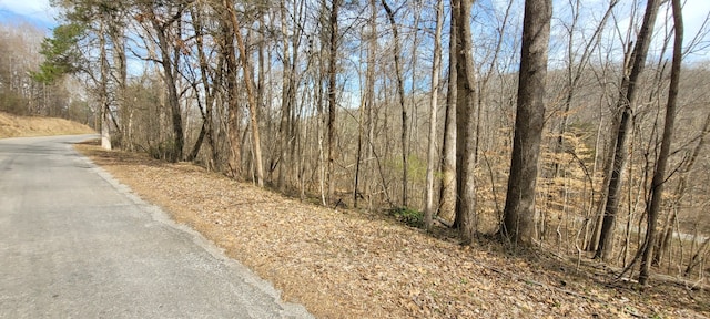 Listing photo 3 for 1 Lakeshore Cir, Dover TN 37058