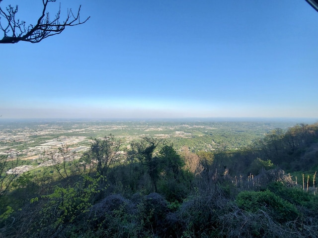 view of local wilderness