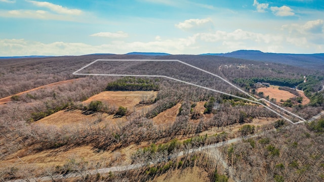 0 Hebbertsburg Rd, Crab Orchard TN, 37723 land for sale