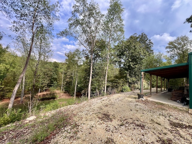 view of yard with a patio area