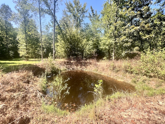 view of nature featuring a water view