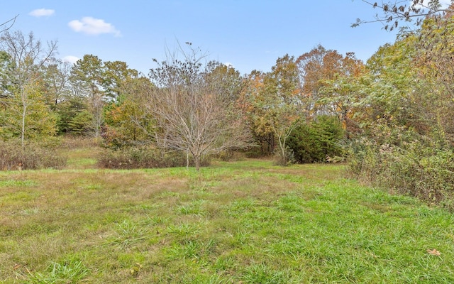 2929 Battles Way, Signal Mountain, TN 37377