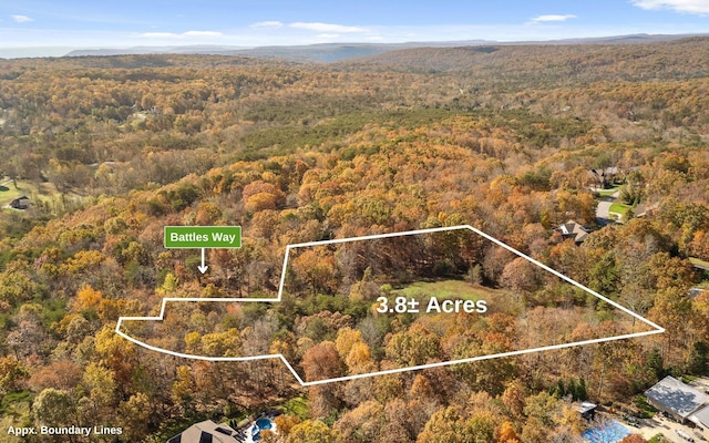 2929 Battles Way, Signal Mountain, TN 37377