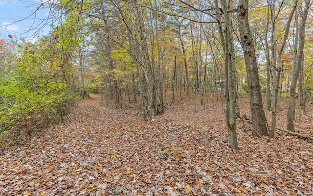 2929 Battles Way, Signal Mountain, TN 37377