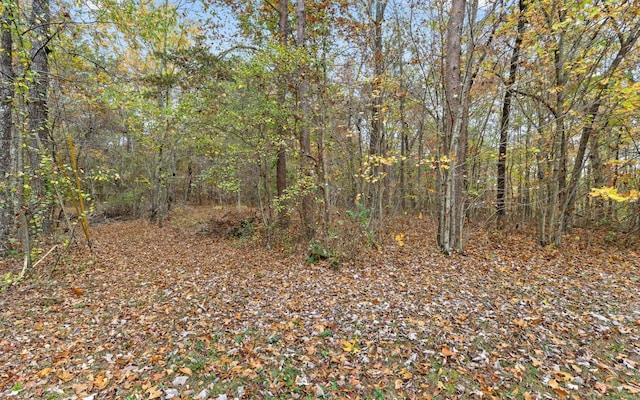 2929 Battles Way, Signal Mountain, TN 37377
