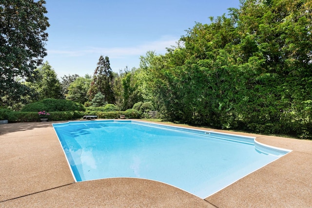 view of swimming pool with a diving board and a patio