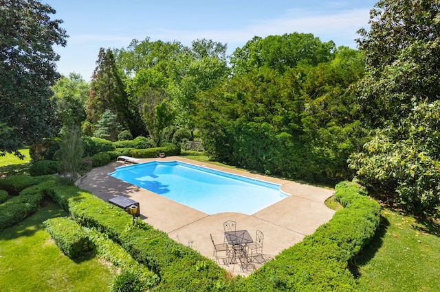 view of pool with a diving board and a patio