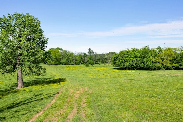 view of yard with a rural view