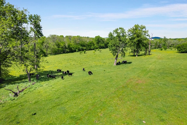 view of yard with a rural view