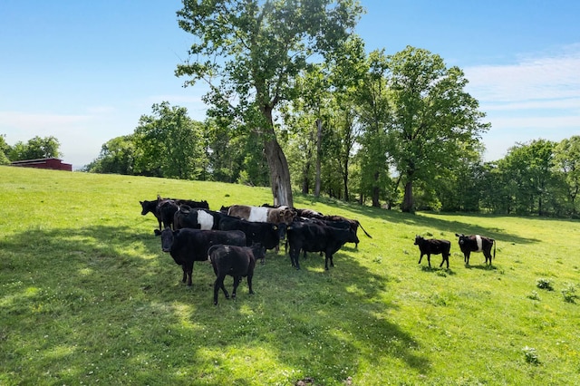 view of yard featuring a rural view