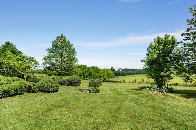 view of yard with a rural view