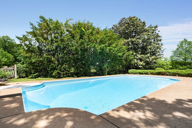 view of swimming pool