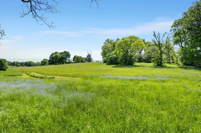 view of landscape featuring a rural view