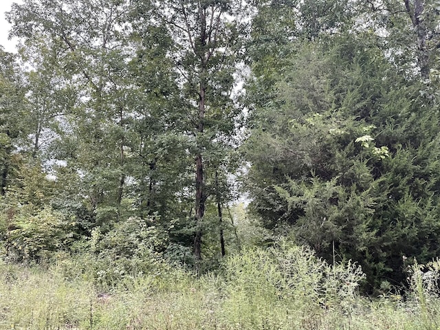 Listing photo 3 for 0 Deer Ridge Rd, Waynesboro TN 38485