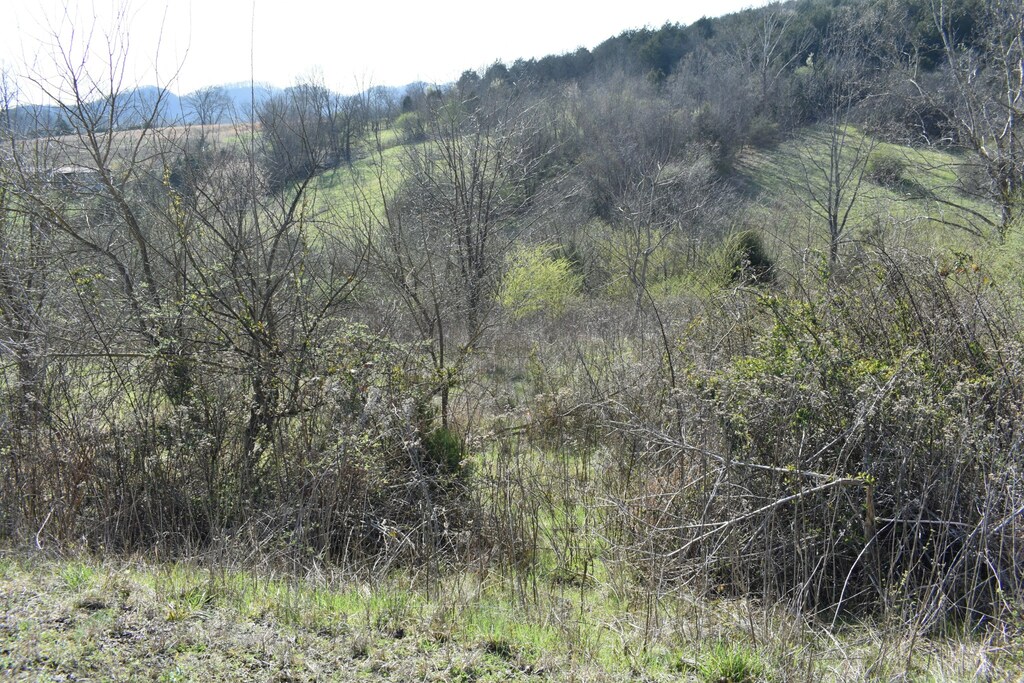 199 Dycus Landing Ln, Gainesboro, TN 38562