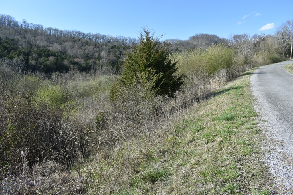 199 Dycus Landing Ln, Gainesboro, TN 38562