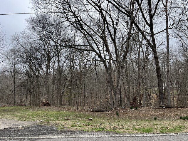 0 Ussery Rd S, Clarksville, TN 37040 - photo 3