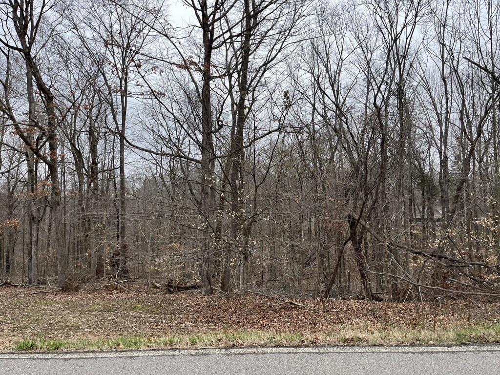 0 Ussery Rd S, Clarksville, TN 37040 - photo 2