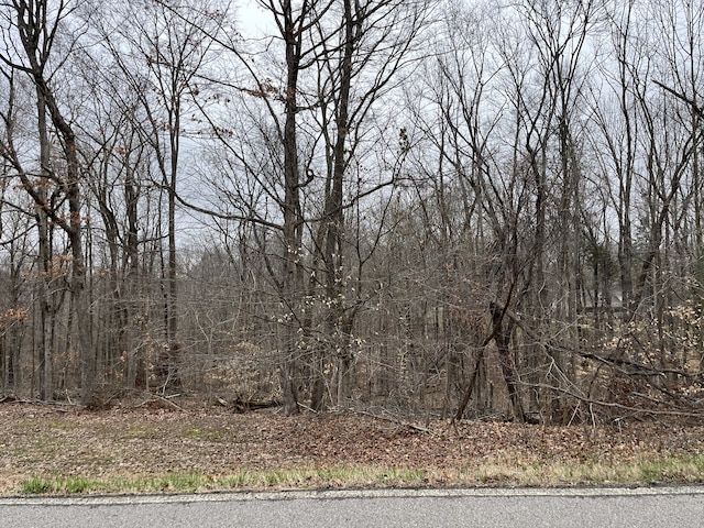 0 Ussery Rd S, Clarksville, TN 37040 - photo 2