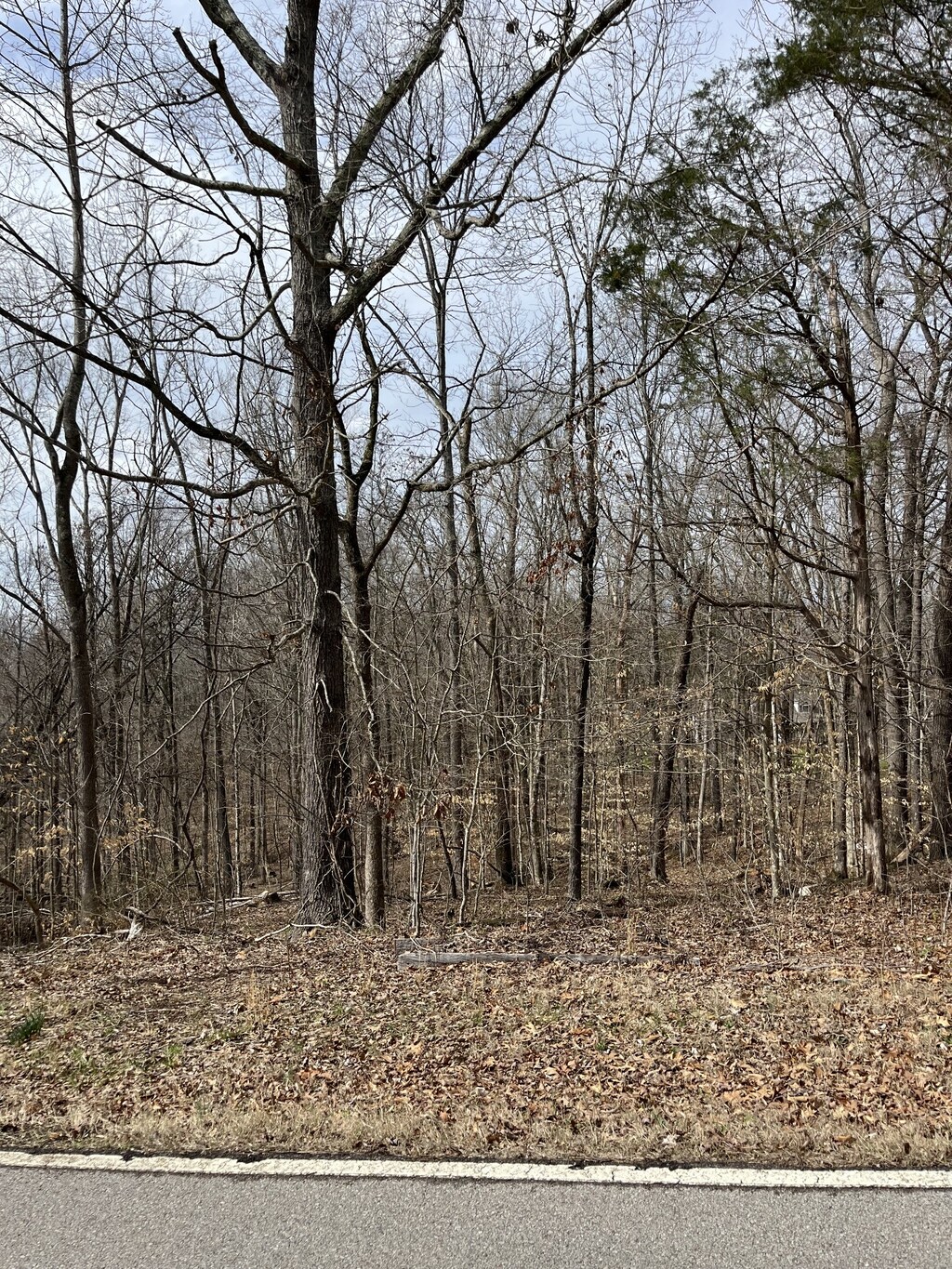 0 Ussery Rd S, Clarksville, TN 37040 - photo 1