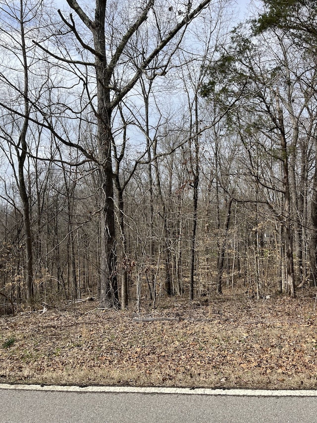 0 Ussery Rd S, Clarksville, TN 37040 - photo 1