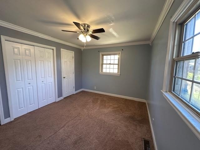 unfurnished bedroom with multiple closets, ceiling fan, dark colored carpet, and crown molding