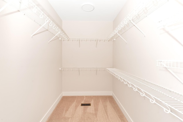 spacious closet with light colored carpet