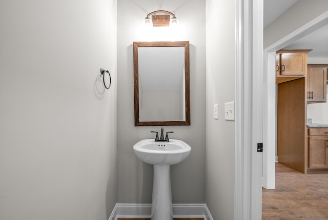 bathroom featuring hardwood / wood-style flooring