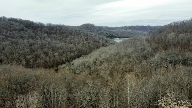 Listing photo 3 for 0 Lakeview Dr, Smithville TN 37166