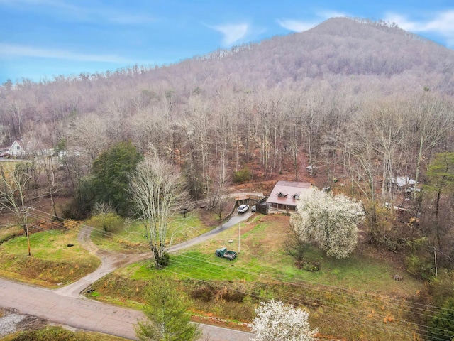 drone / aerial view with a mountain view