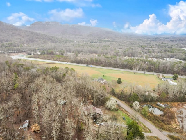 801 Tram Trl, Dunlap, TN 37327 - photo 79