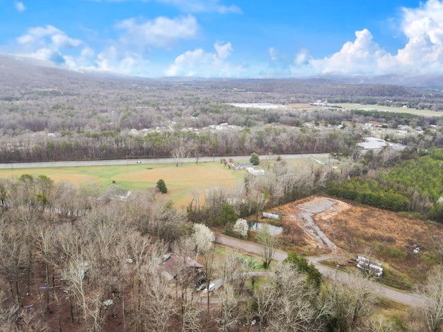 birds eye view of property featuring a mountain view and a rural view