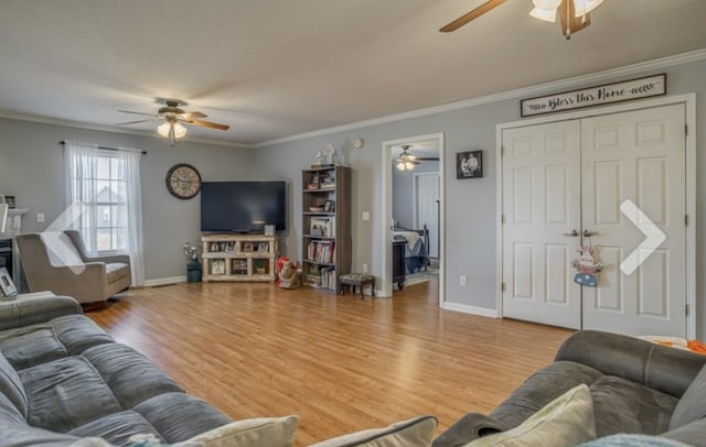 living room with light wood-type flooring, ceiling fan, and ornamental molding