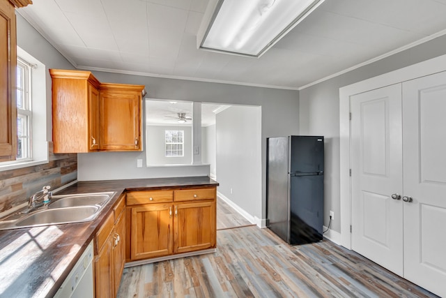 kitchen featuring black refrigerator, ceiling fan, sink, and a wealth of natural light