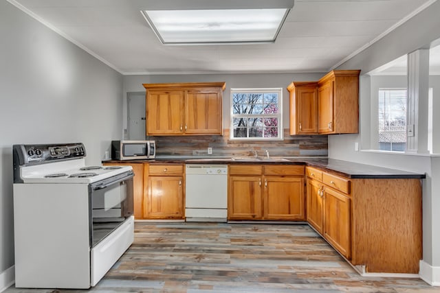 kitchen with light hardwood / wood-style flooring, white appliances, and a wealth of natural light