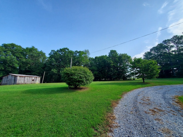 view of yard