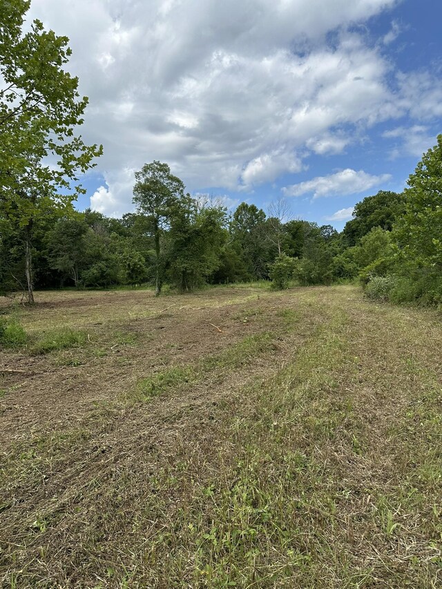 1465 Cliff Amos Rd, Spring Hill, TN 37174 - photo 4
