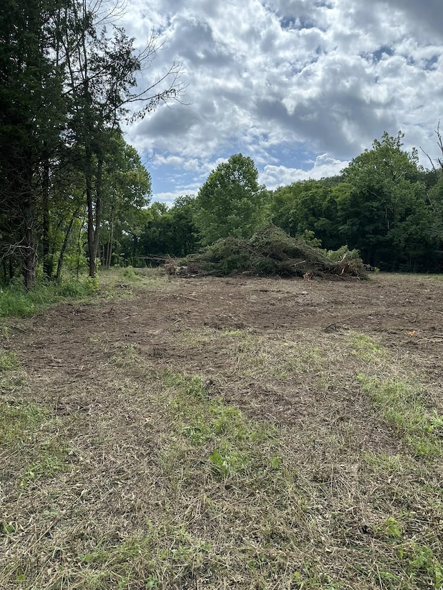 1465 Cliff Amos Rd, Spring Hill, TN 37174 - photo 8
