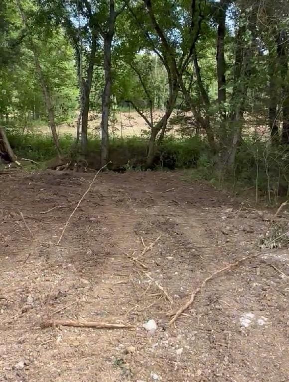 1465 Cliff Amos Rd, Spring Hill, TN 37174 - photo 3