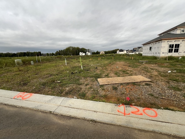 view of yard with a rural view