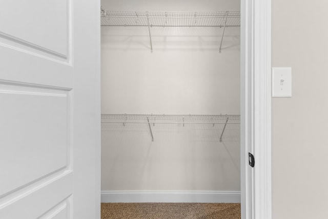 walk in closet featuring carpet