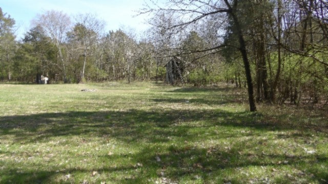 view of local wilderness