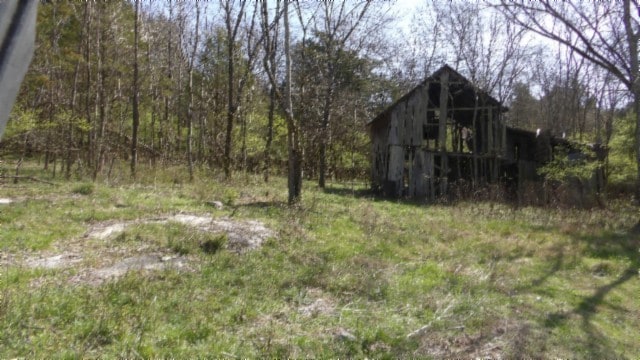 view of local wilderness