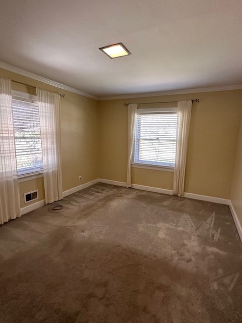 spare room featuring ornamental molding and carpet flooring