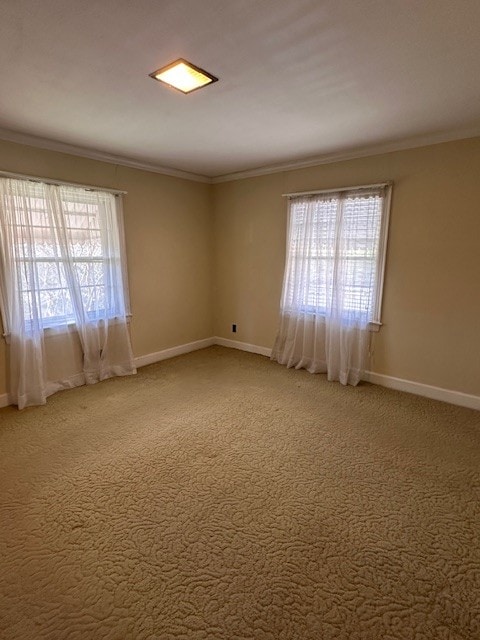 unfurnished room with light carpet, ornamental molding, and a healthy amount of sunlight