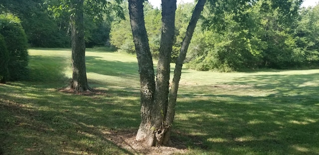 view of mother earth's splendor